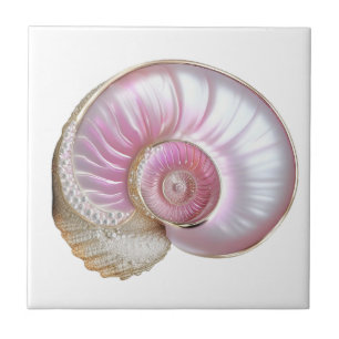Nautilus zeeschelp roze parel 3D strand zee Tegeltje