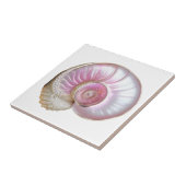Nautilus zeeschelp roze parel 3D strand zee Tegeltje (Zijkant)