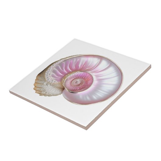 Nautilus zeeschelp roze parel 3D strand zee Tegeltje (Zijkant)