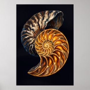 Nautilusschaal Dwarsdoorsnede — Gulden Spiraal Poster