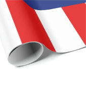 Nautisch Amerikaans vlag Cadeaupapier (Rol Hoek)