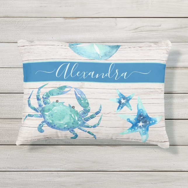 Nautisch Blauwgroen blauw zand en dollar Buitenkussen (Achterkant)