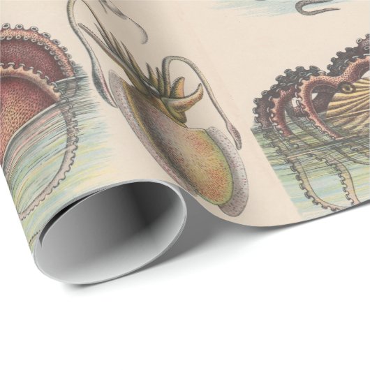 Nautisch - Octopus, Nautilus en Squid Cadeaupapier (Rol Hoek)