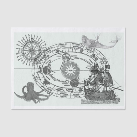 Nautisch Tissuepapier (Voorkant)