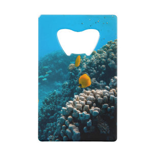 Nautische foto's Marine Animal Photography Fish Pi Kredietkaart Flessenopener