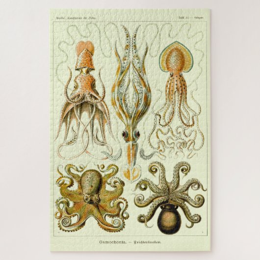 Nautische octopus door Ernst Haeckel Legpuzzel (Verticaal)