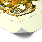 Nautische octopus door Ernst Haeckel Poster (Hoek)