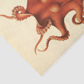 Nautische Octopus Ephemera Decoupage Rood Tissuepapier (Detail)