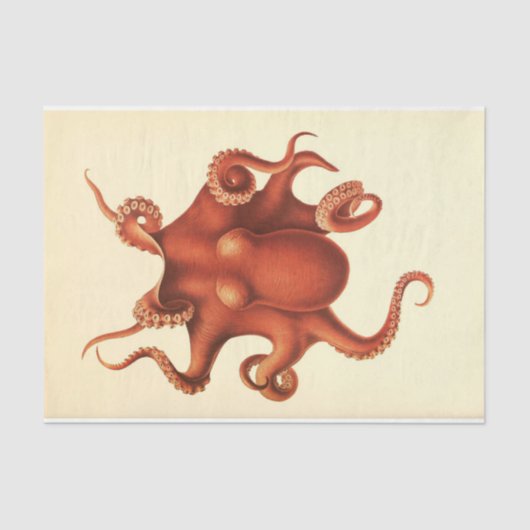 Nautische Octopus Ephemera Decoupage Rood Tissuepapier (Voorkant)