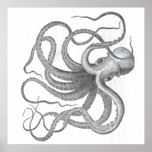 Nautische steampunk octopus kraken tekening poster
