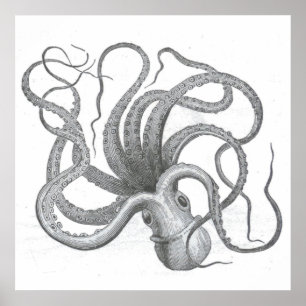 Nautische steampunk octopus  kraken tekening poster