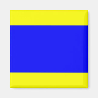 Nautische vlag "D" Delta magneet