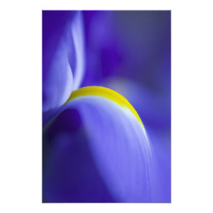 Nauwe details van een blauwe vlag iris. foto afdruk