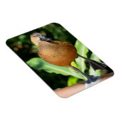 Nauwe fluitenzen op spoor magneet (Rechterzijde)