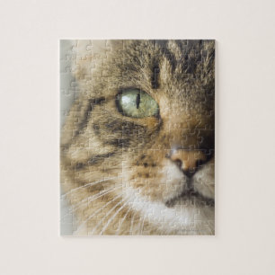 Nauwe kat (focus op oog) legpuzzel