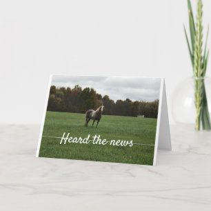 NAUWKEURIGE LIJST ZO GEEN HAY VOOR U DEZE CHRISTMA FEESTDAGEN KAART