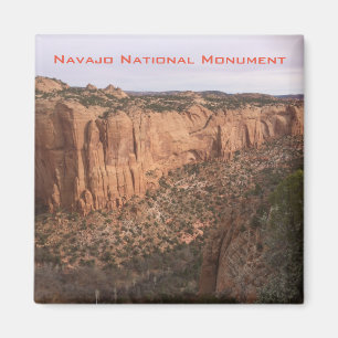 Navajo National Monument Magneet