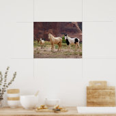 Navajo-paarden lopen vrij op de Canyon-vloer Poster (Keuken)