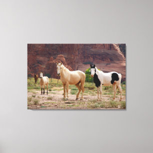 Navajo-paarden lopen vrij op de canyonbodem canvas afdruk