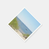 Navigation Path: The Beach Servet (Hoek)