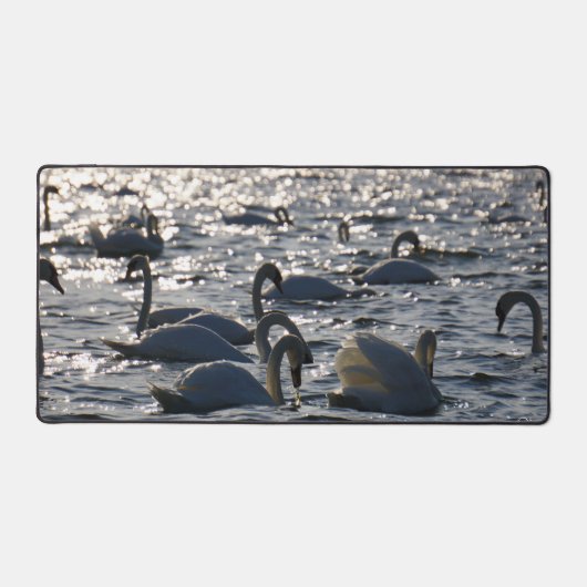 Navires en groupe sur l'eau avec glissement (Recto)