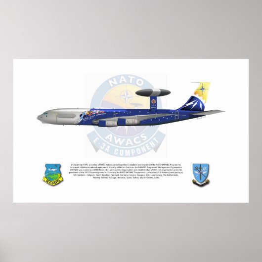 NAVO E-3A, 25th Jubileum Markings Poster (Voorkant)