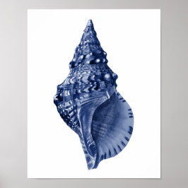 Navy Beach Decor Seashell Art Poster
