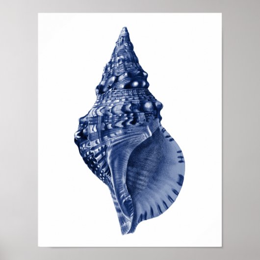 Navy Beach Decor Seashell Art Poster (Voorkant)