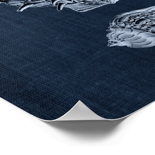 Navy Beach Decor Seashell Print nr. 10 (Hoek)