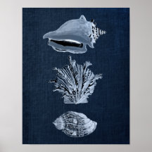 Navy Beach Decor Seashell Print nr. 10