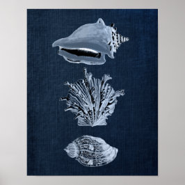 Navy Beach Decor Seashell Print nr. 10