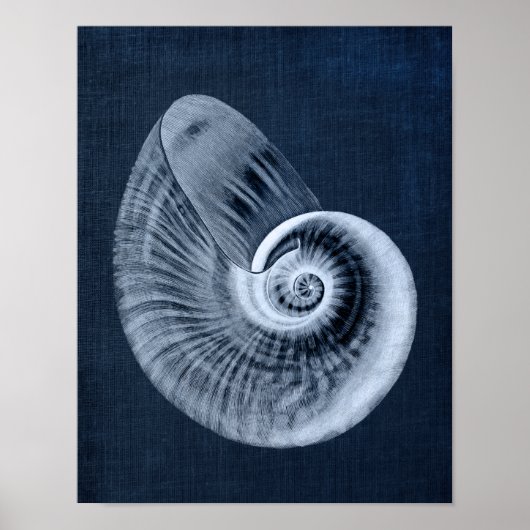 Navy Blue Beach Decor Seashell Art Print no. 11 (Voorkant)