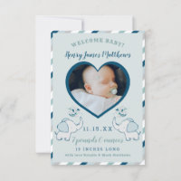 Navy Blue & Mint Elephant Baby Boy Foto geboorte