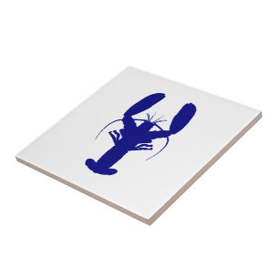 Navy Blue op witte kuststrook Tegeltje