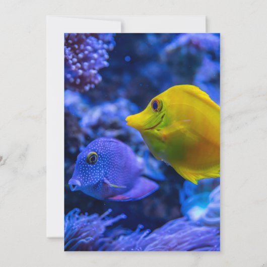 Navy Blue Underwater Zee Fish Kustbruiloft Save The Date (Achterkant)