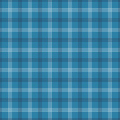 Navy Plaid Curtain Rugged Gift for His Bathroom Douchegordijn