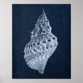 Navy Seashells Print no 1 Beach Decor Wall Art