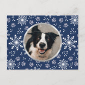Navy Snowflake Paw Pattern Foto Briefkaart (Voorkant)
