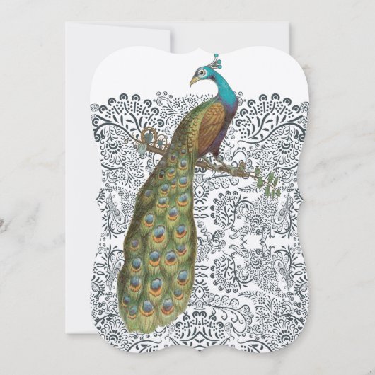 Navy Whimsical Peacock Love Bird Pattern Weddensch Kaart (Achterkant)