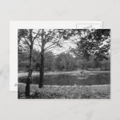 Nay Aug Park Scranton Pa. Briefkaart (Voorkant / Achterkant)