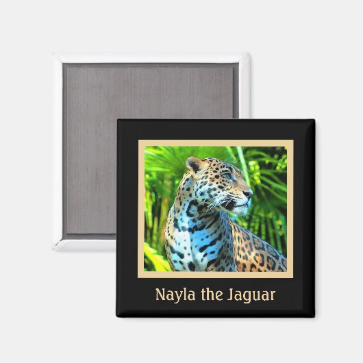 Nayla le aimant Jaguar (Recto/Verso)