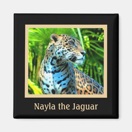 Nayla le aimant Jaguar (Devant)