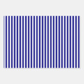 Nazewitte strepen controleren het geometrische pat inpakpapier vel (Voorkant 2)