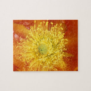 NB, Verenigde Staten, Arizona, Tucson, Sonora Dese Legpuzzel