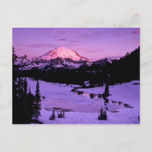 NB, VS, Washington, Mt Rainier National 3 Briefkaart