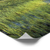 NB, VS, Washington, Mt Rainier National 5 Poster (Hoek)