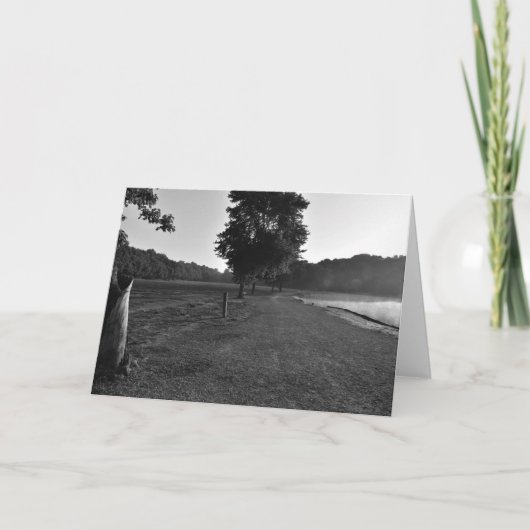 NC / Noir, carte (Devant)