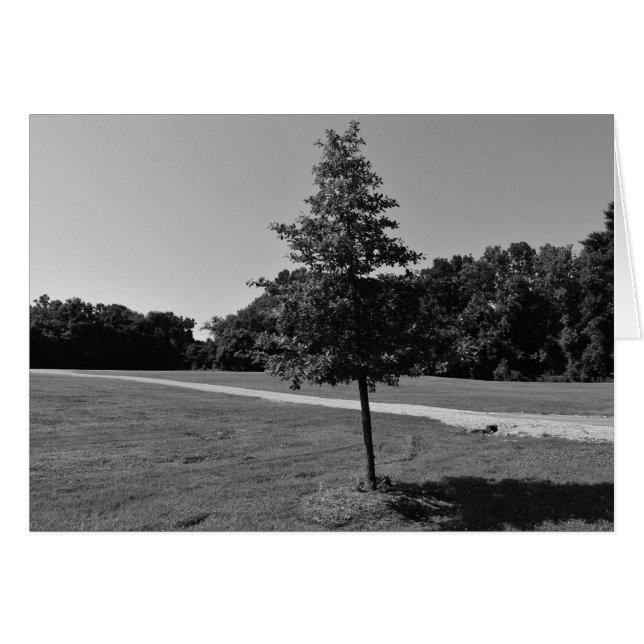 NC/Noir, kaart (Voorkant Horizontaal)