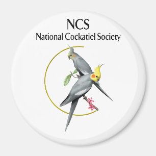NCS - groot 3-inch Ronde Magnet Magneet