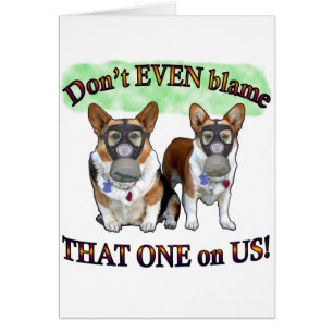 Ne blâmez pas les USA